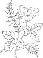 FLM110D.TIF