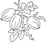 FLM110C.TIF