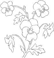 FLM110B.TIF