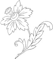 FLM109D.TIF
