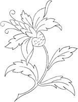 FLM109A.TIF