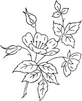 FLM107E.TIF
