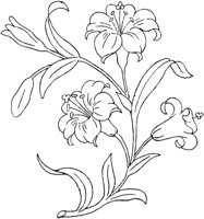 FLM107D.TIF