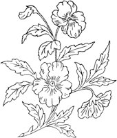 FLM107A.TIF