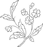 FLM106E.TIF
