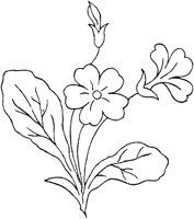 FLM106D.TIF