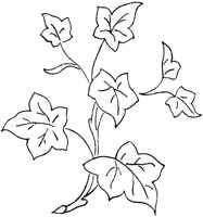 FLM106C.TIF
