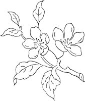 FLM106B.TIF