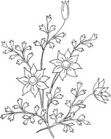 FLM105C.TIF