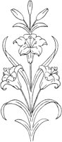 FLM104D.TIF