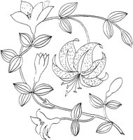 FLM104C.TIF
