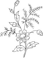 FLM104B.TIF