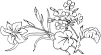 FLM103C.TIF