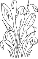 FLM103B.TIF