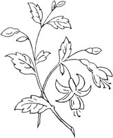 FLM102E.TIF