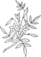 FLM102D.TIF