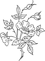 FLM102C.TIF