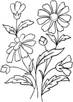 FLM102B.TIF