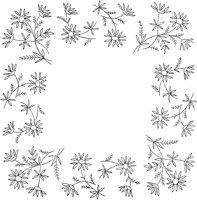 FLM101A.TIF