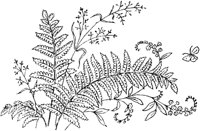 FLM081B.TIF