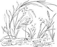 FLM080C.TIF