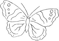 FLM079C.TIF