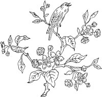 FLM079A.TIF
