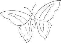 FLM078C.TIF