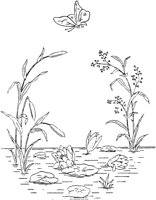 FLM078A.TIF