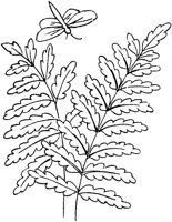 FLM077E.TIF