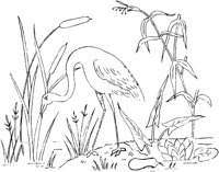 FLM077D.TIF