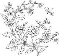 FLM077A.TIF