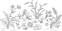 FLM076C.TIF