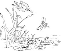 FLM076A.TIF