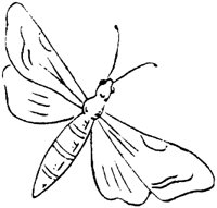 FLM075D.TIF