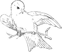 FLM075C.TIF