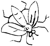 FLM075B.TIF