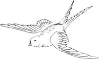 FLM075A.TIF
