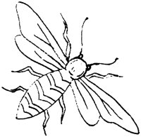FLM074D.TIF