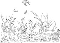 FLM074C.TIF