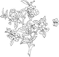 FLM074B.TIF