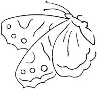 FLM073C.TIF
