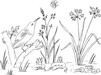 FLM072F.TIF