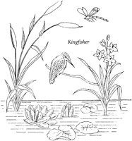 FLM072C.TIF