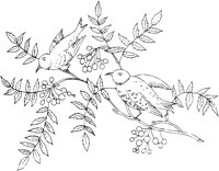 FLM071A.TIF