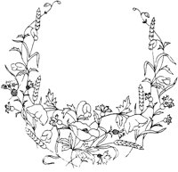 FLM070B.TIF
