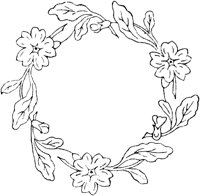FLM063C.TIF