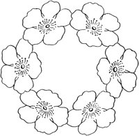 FLM061C.TIF