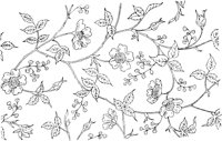 FLM058B.TIF