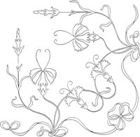 FLM055A.TIF
